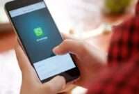 Know how it will turn into a dummy app if WhatsApp's new privacy policy is not accepted.