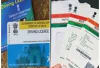 Link driving license with Aadhar card sitting at home, know here the easiest way